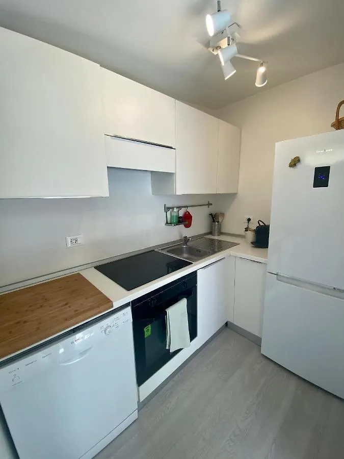 Front Beach Apartments - Attic Viareggio Italy